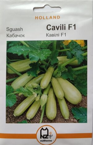 Насіння Кабачок Кавілі F1 (2 г.) голлан.