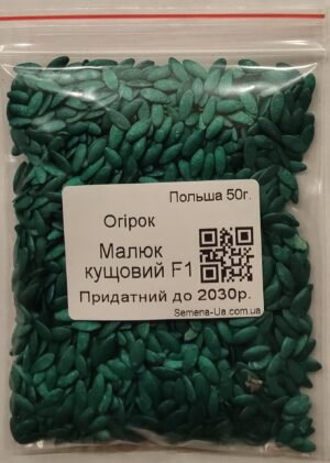 Насіння Огірок Малюк кущовий F1 50 г. (інкруст.) (Польща)