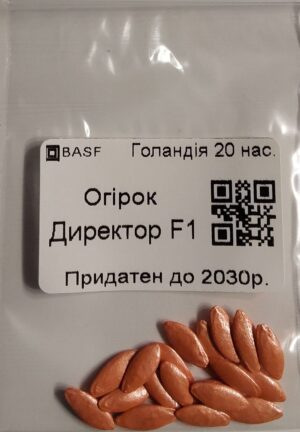 Насіння Огірок Директор F1 (голландія) - 20 нас.