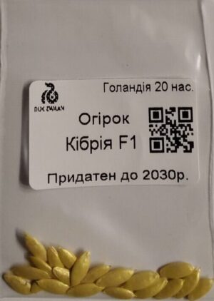 Насіння Огірок Кібрія F1 (голландія) - 20 нас.