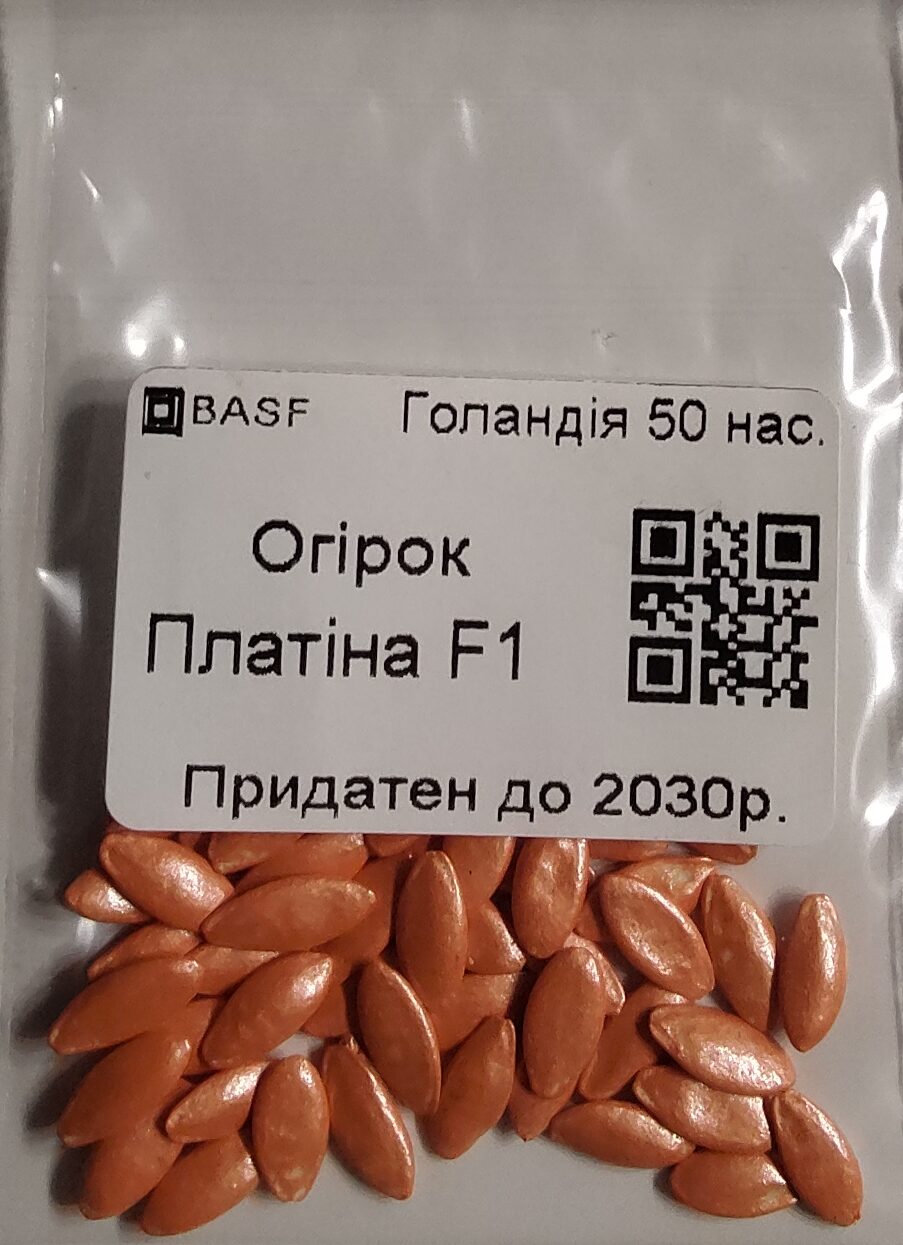 Насіння Огірок Платіна F1 (голландія) - 50 нас.