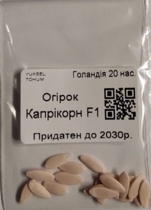 Насіння Огірок Капрікорн F1 (голландія) - 20 нас.
