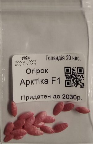 Насіння Огірок Арктика F1 (голландія) - 20 нас.