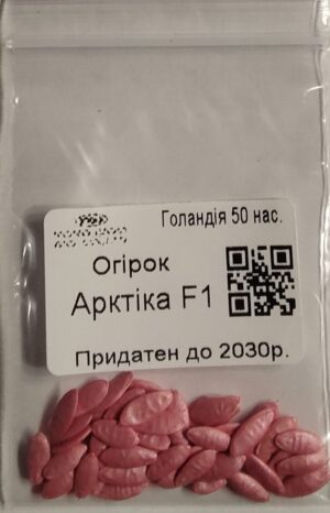 Насіння Огірок Арктика F1 (голландія) - 50 нас.
