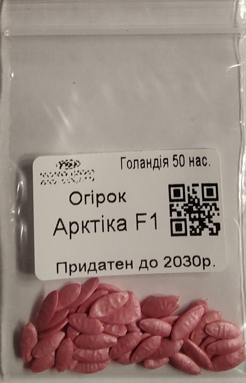 Насіння Огірок Арктика F1 (голландія) - 50 нас.