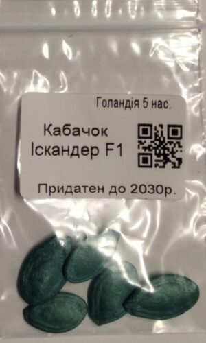 Насіння Кабачок Іскандер F1 (голландія) - 5 нас.