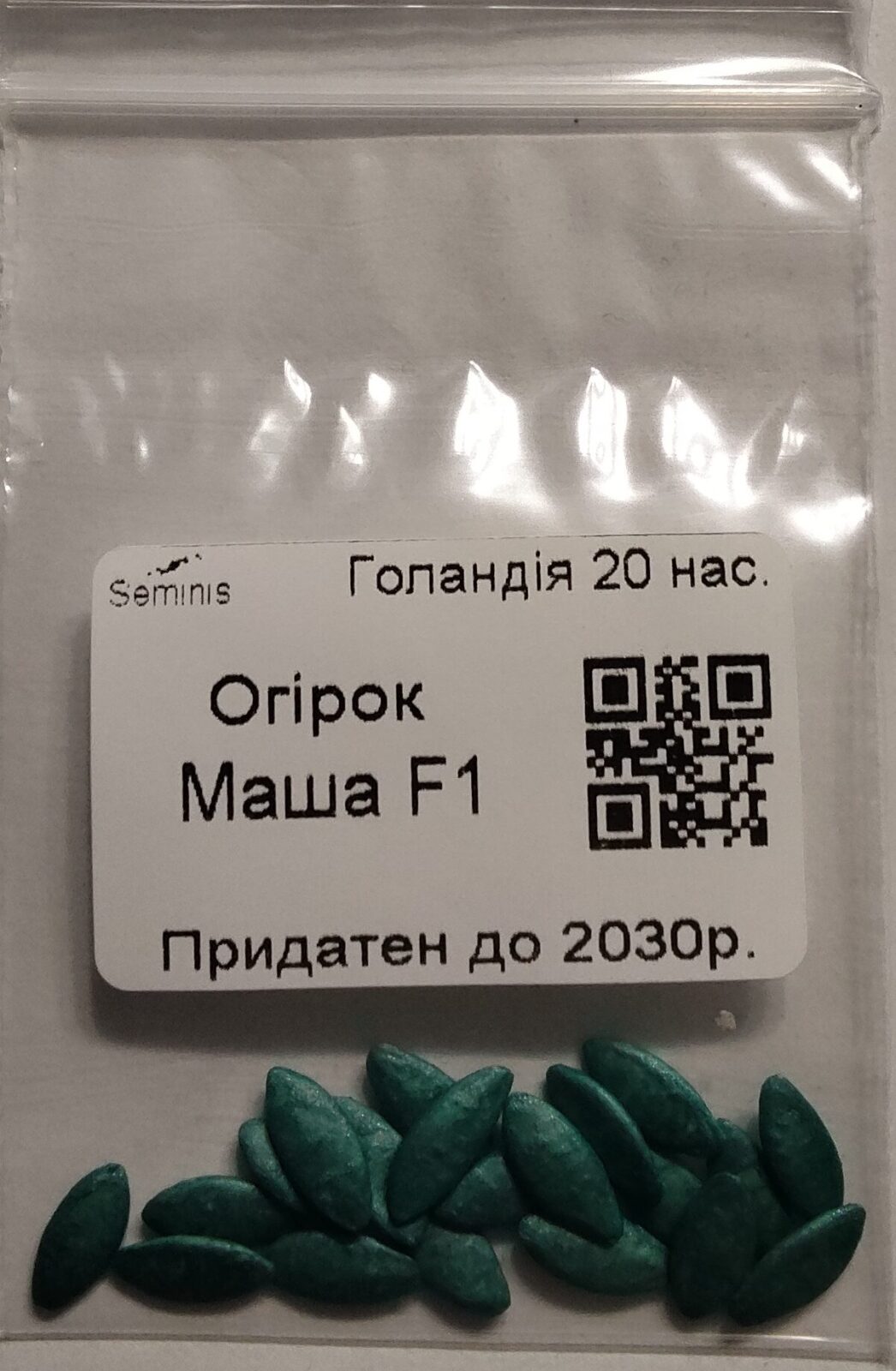 Насіння Огірок Маша F1 (голландія) - 20 нас.