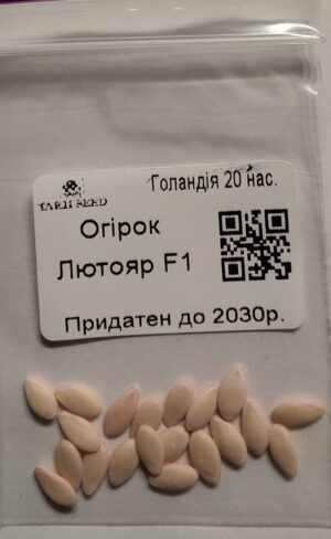 Насіння Огірок Лютояр F1 (голландія) - 20 нас.