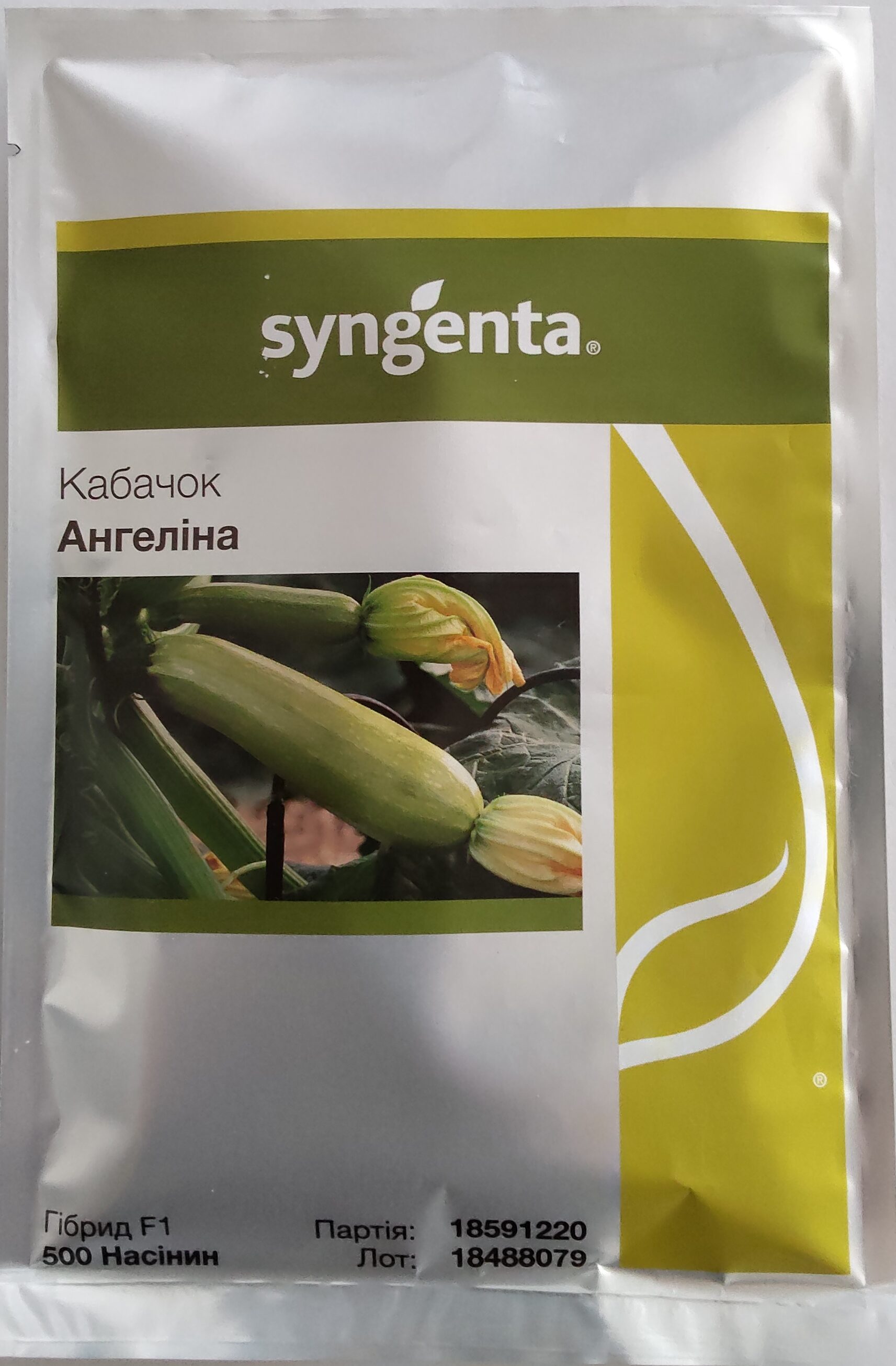 Насіння Кабачок Ангеліна F1 (голландія) - 500 нас.