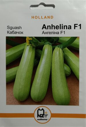 Насіння Кабачок Ангеліна F1 (2 г.) голлан.