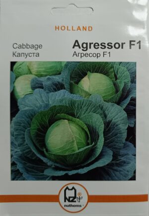 Насіння Капуста Агресор F1 (1 г.) голлан.