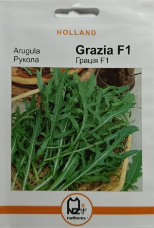 Насіння Салат Рукола Грація F1 (5 г.) голлан.