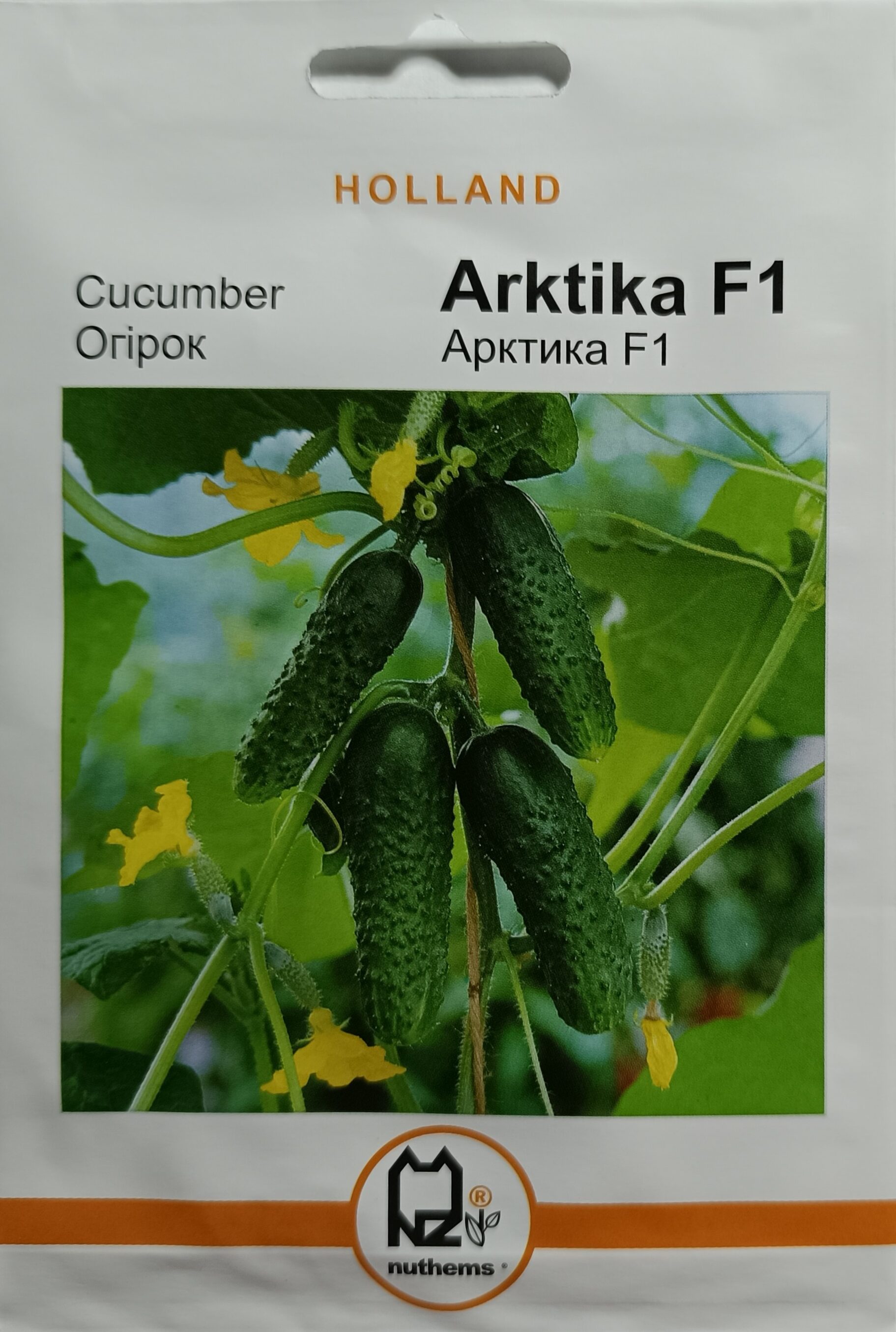Насіння Огірок Арктика F1 (1 г.) голлан.