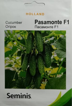 Насіння Огірок Пасамонте F1 (1 г.) голлан.
