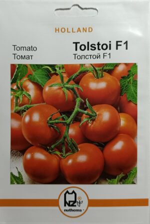 Насіння Томат Толстой F1 (100 шт.) голлан.