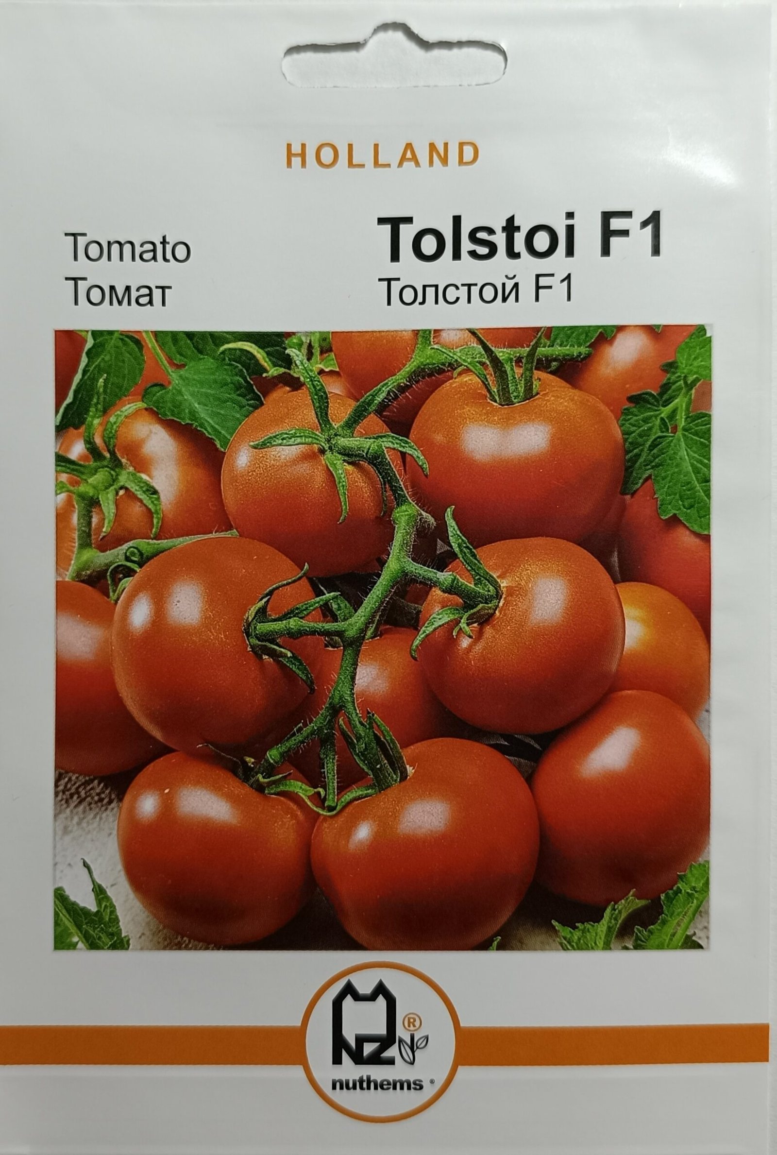 Насіння Томат Толстой F1 (100 шт.) голлан.