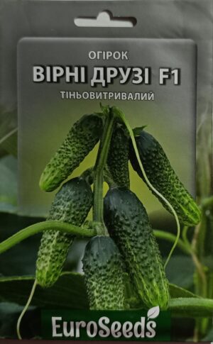 Насіння Огірок Вірні друзі F1 (EuroSeeds) - 2 г.
