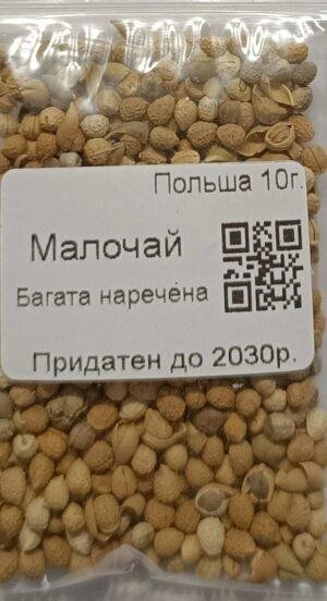 Насіння Молочай Багата наречена 10 г. (Польща)