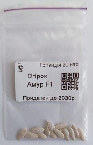 Насіння Огірок Амур F1 (голландія) - 20 нас. не оброблений