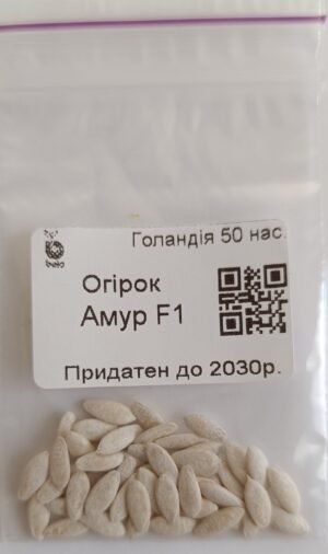 Насіння Огірок Амур F1 (голландія) - 50 нас. не оброблений