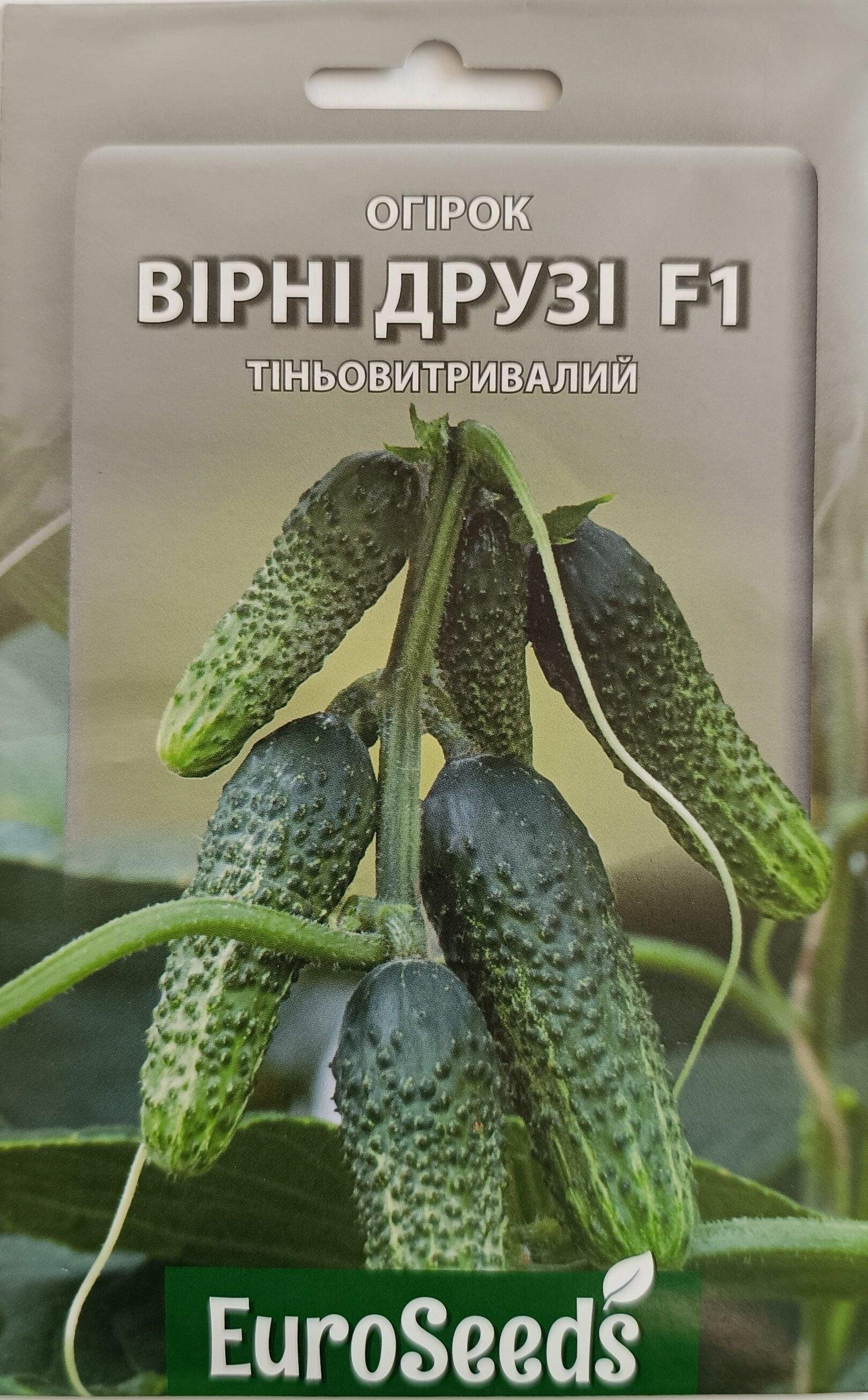 Насіння Огірок Вірні друзі F1 (EuroSeeds) - 2 г.