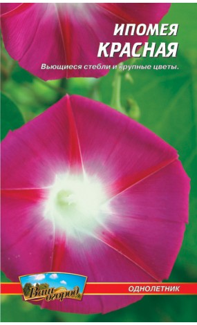 Насіння Іпомея Червона (малий)