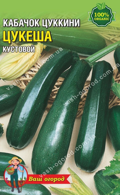 Насіння Кабачок Цукеша (малий)