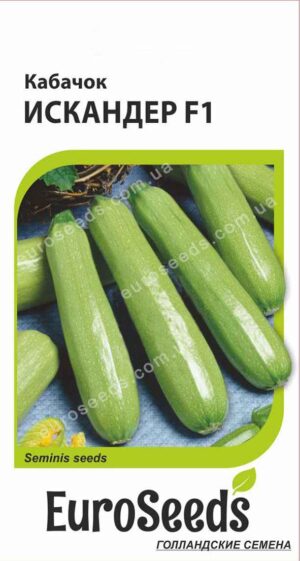 Насіння Кабачок Іскандер F1 (голландія) EuroSeeds - 5 нас.