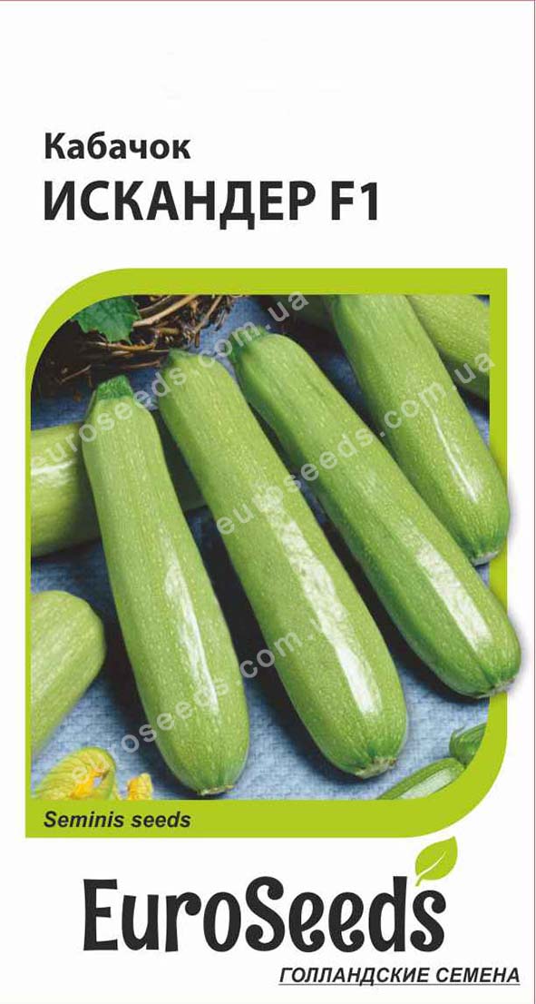 Насіння Кабачок Іскандер F1 (голландія) EuroSeeds - 5 нас.