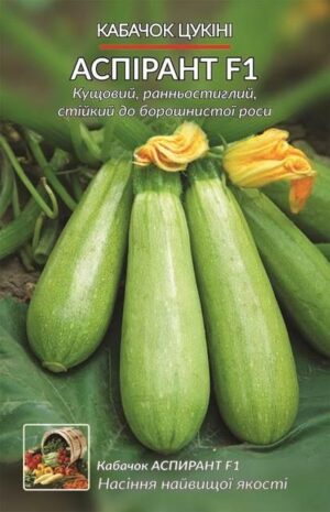 Насіння Кабачок Аспірант (5 г.)