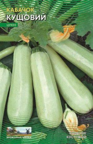 Насіння Кабачок Кущовий (5 г.)