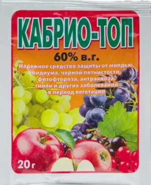 Кабрио-Топ 20 г.