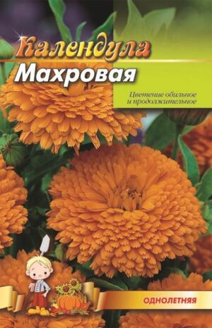 Насіння Нагітки (2 г)