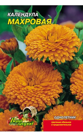 Насіння Нагітки махрова суміш (малий)