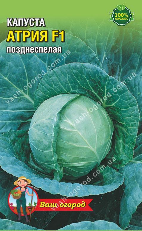 Упаковка для фасування (100 шт.) Капуста Атрія F1 8х13
