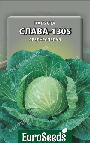 Насіння Капуста Слава 1305 (EuroSeeds) - 3 г.