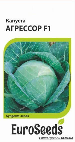 Насіння Капуста Агресор F1 (голландія) EuroSeeds - 20 нас.