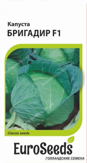 Насіння Капуста Бригадир F1 (голландія) EuroSeeds - 20 нас.