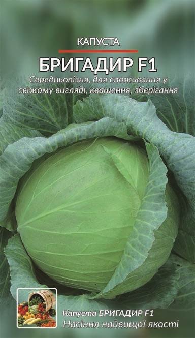 Капуста Бригадир F1 (1 г.)