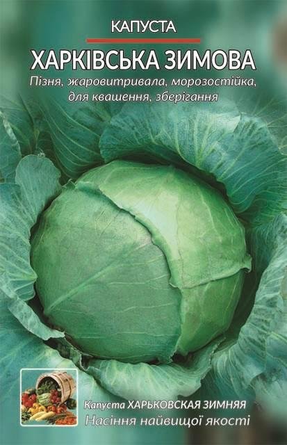 Капуста Харківська зимова (2 г.)