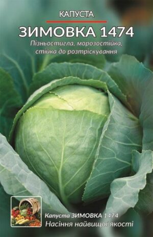 Насіння Капуста Зимовка (1 г.)
