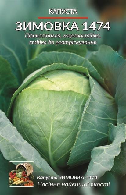 Насіння Капуста Зимовка (1 г.)