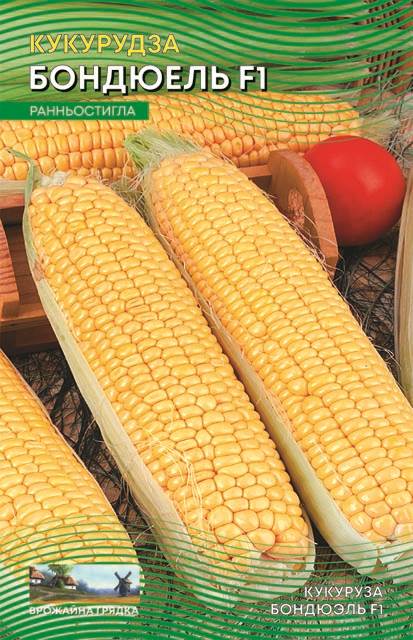 Насіння Кукурудза Бондюєль F1 (20 г.)