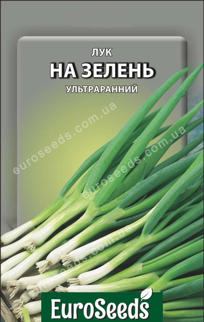 Цибуля на зелень (EuroSeeds) - 5 г.