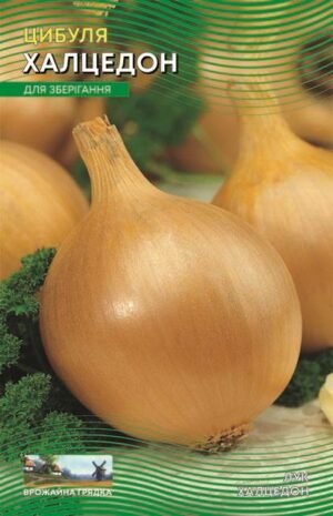 Насіння Цибуля Халцедон (5 г.)