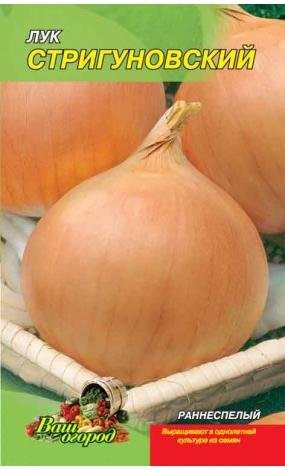 Насіння Цибуля Стригунівська (малий)