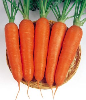 Насіння Морква Червоний велетень (вага)