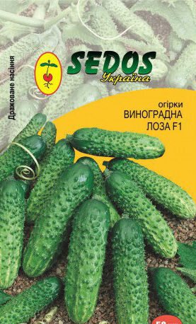 Насіння Огірок Виноградна лоза F1 (драж. ) Sedos