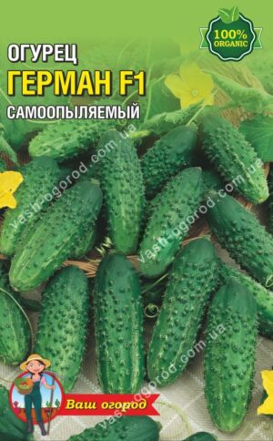 Насіння Огірок Герман F1 (малий)