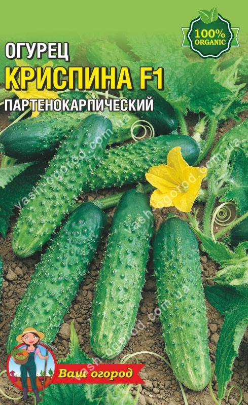 Насіння Огірок Кріспіна F1 (малий)